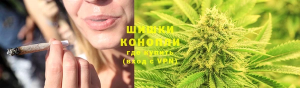 эйфоретик Богданович