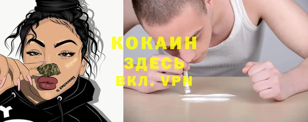 ALPHA-PVP Богородицк