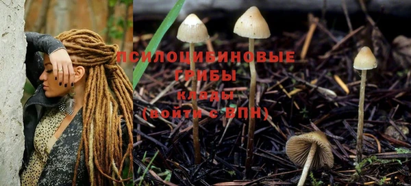 ALPHA-PVP Богородицк