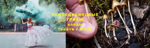 эйфоретик Богданович