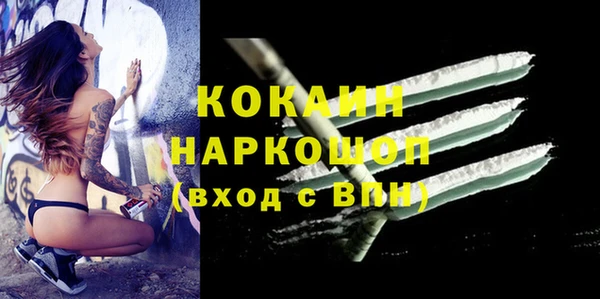 эйфоретик Богданович